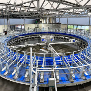 BouMatic Xcalibur 360EX 2.0 external rotary milking parlour