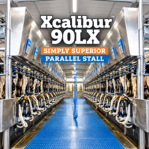 BouMatic Xcalibur 90LX 90-degree parallel milking parlour