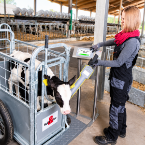 Holm & Laue WeightControl electronic calf weighing system