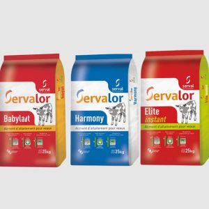 MILK REPLACER – CALVES