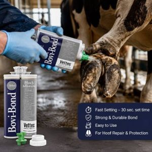 Hoof Care Treatment