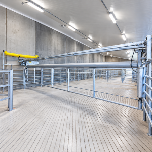 BouMatic AirTrac air-powered crowd gate for dairy farms